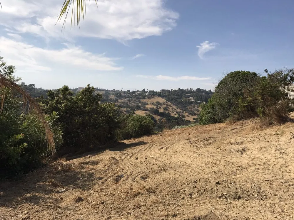 Affordable lawn care service for year-round maintenance in Rowland Heights, CA by A&S Landscape Maintenance