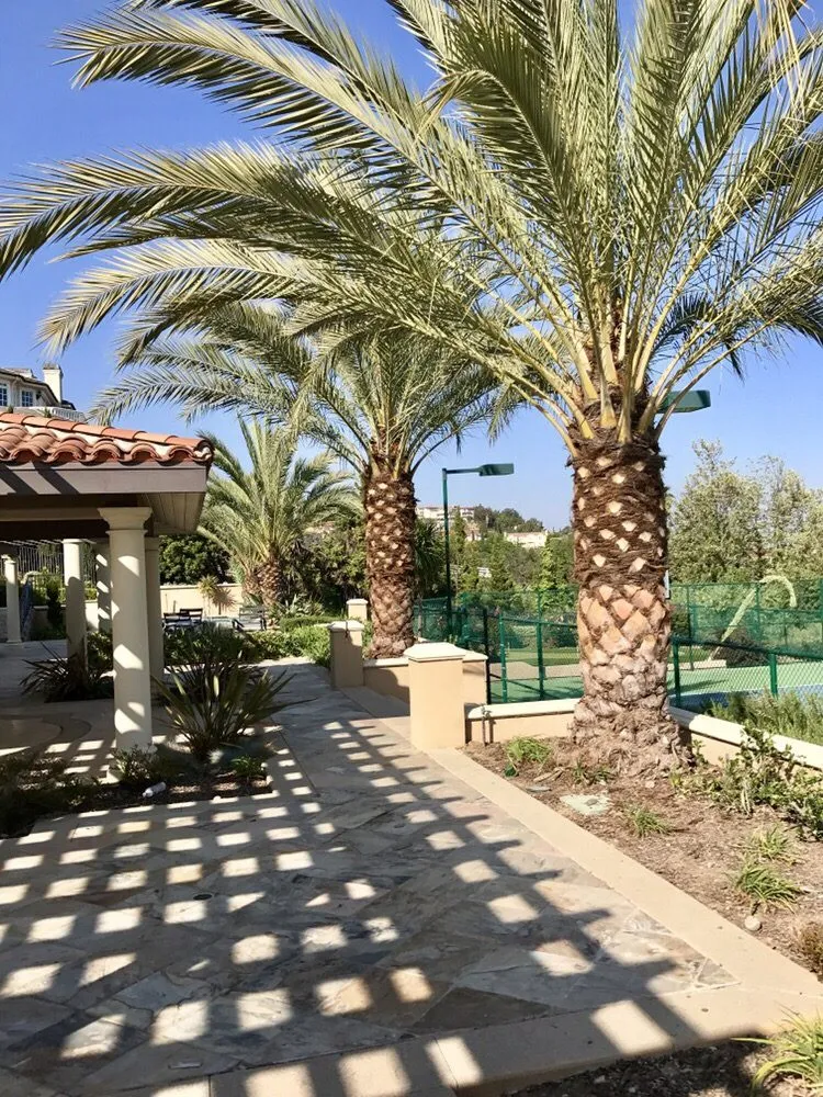 Reliable outdoor landscaping for outdoor upgrades across Rowland Heights, CA - A&S Landscape Maintenance