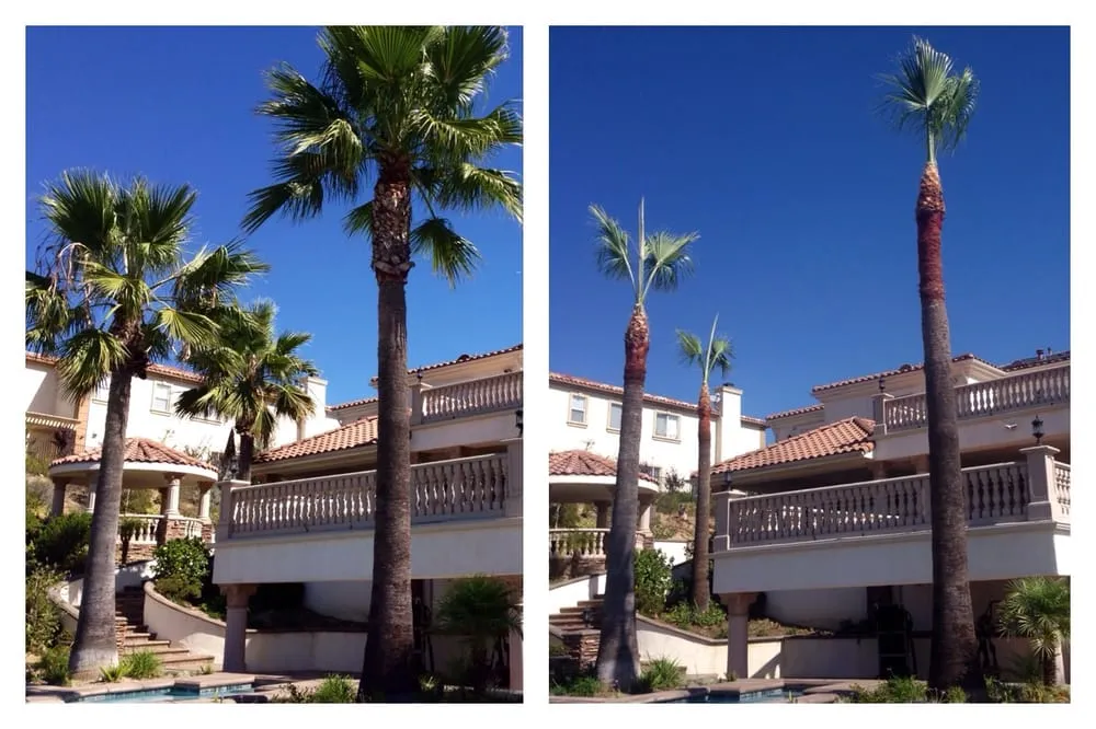 Trusted residential landscaping in Rowland Heights, CA by A&S Landscape Maintenance