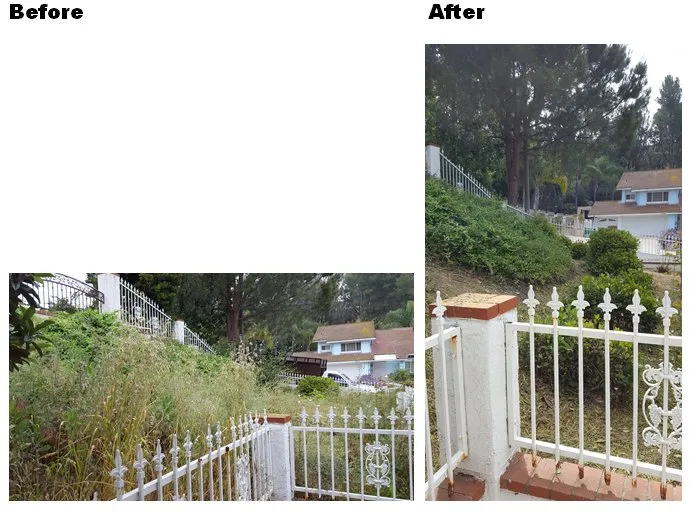 Top-rated landscape installation for outdoor upgrades across Rowland Heights, CA - A&S Landscape Maintenance