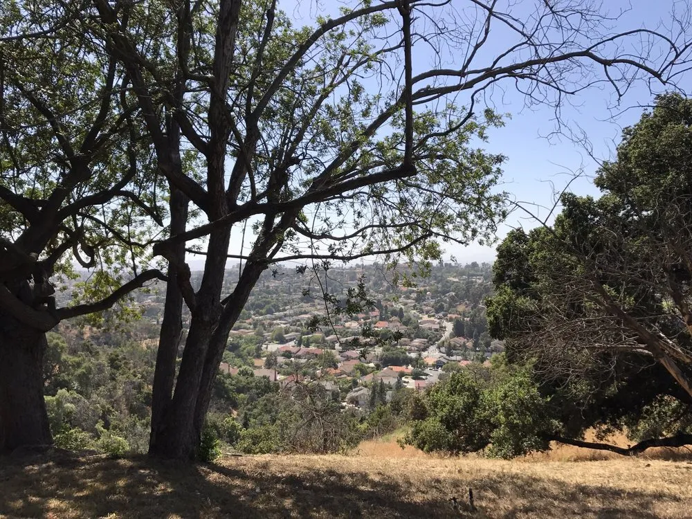 Local garden landscaping in Rowland Heights, CA by A&S Landscape Maintenance