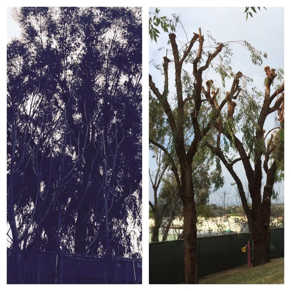 Reliable garden landscaping in Rowland Heights, CA - A&S Landscape Maintenance