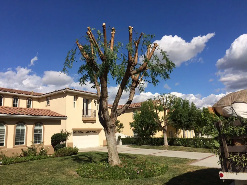 Custom lawn mowing service experts serving Rowland Heights, CA - A&S Landscape Maintenance