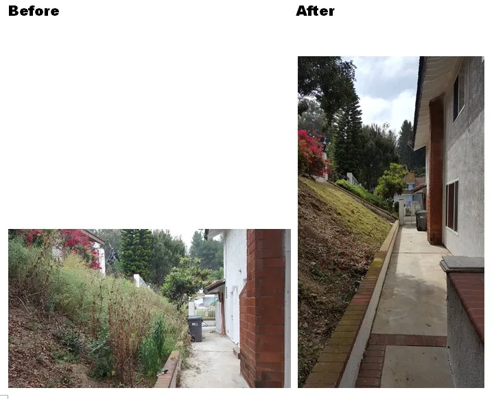 Expert lawn care service in Rowland Heights, CA by A&S Landscape Maintenance