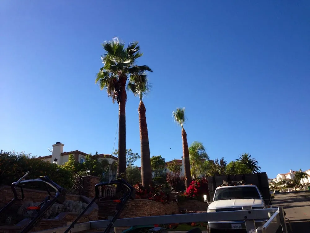 Affordable lawn mowing service with custom design across Rowland Heights, CA - A&S Landscape Maintenance