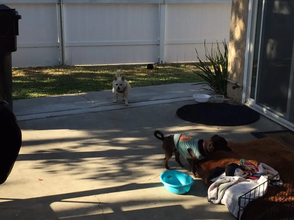 Affordable residential landscaping in Rowland Heights, CA by A&S Landscape Maintenance