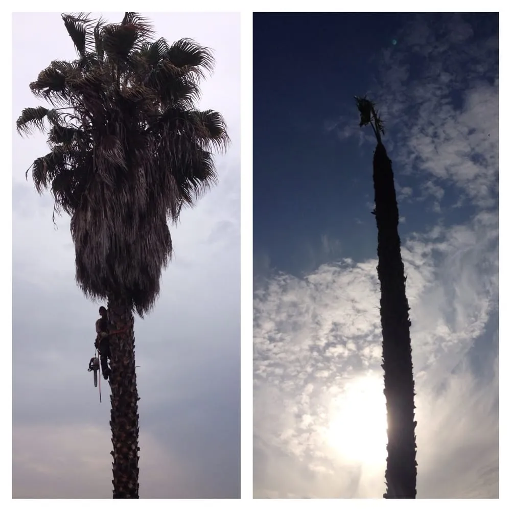 Custom garden landscaping experts serving Rowland Heights, CA - A&S Landscape Maintenance