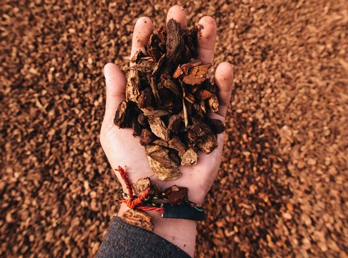 Expert lawn mowing service for residential properties in San Rafael, CA by A&S Landscape Materials