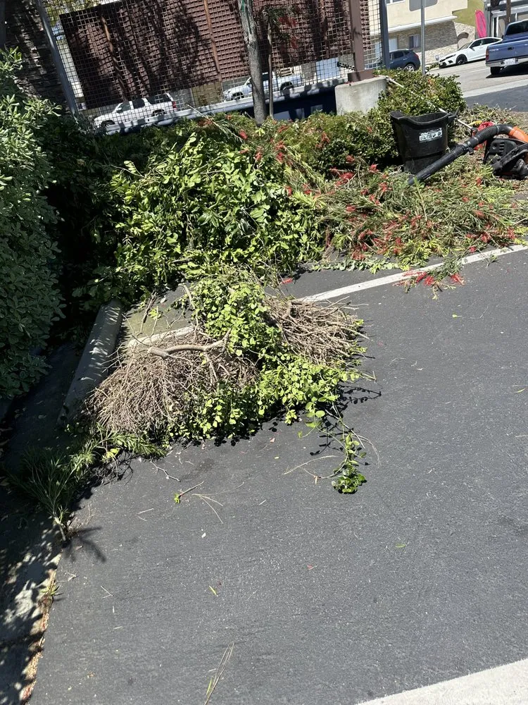 Custom landscaping services for beautiful yards in East Rancho Dominguez, CA by AS Landscaping