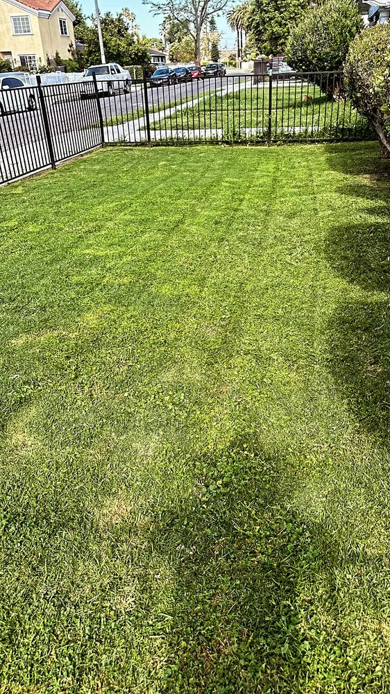 Affordable landscaping services in East Rancho Dominguez, CA - AS Landscaping