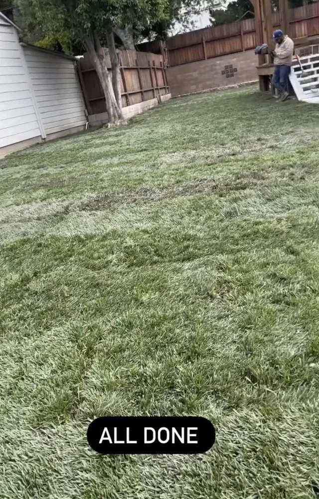 Trusted residential landscaping for residential properties in East Rancho Dominguez, CA by AS Landscaping