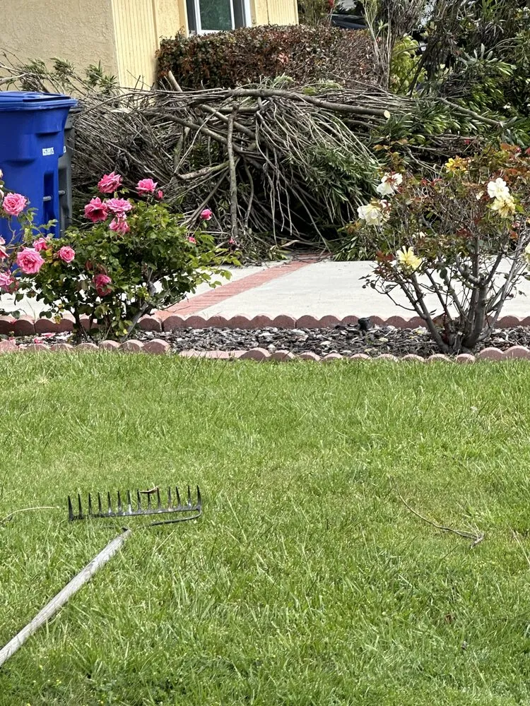 Trusted lawn care service for year-round maintenance across East Rancho Dominguez, CA - AS Landscaping