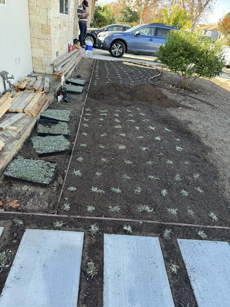 Trusted landscape design in East Rancho Dominguez, CA by AS Landscaping