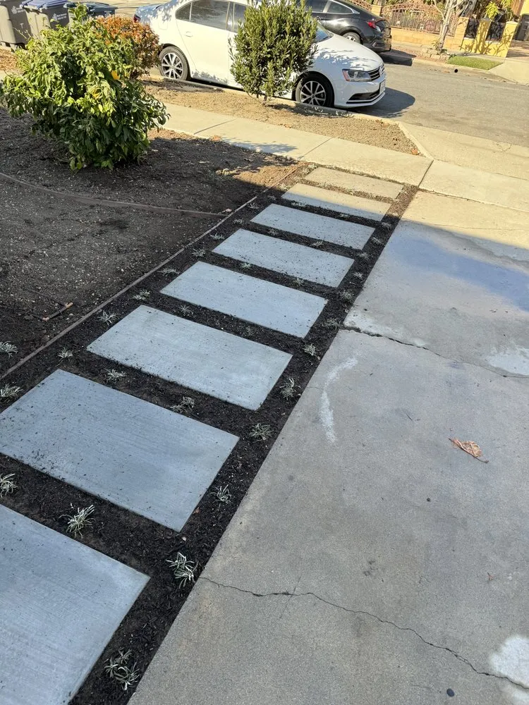 Top-rated lawn care service experts serving East Rancho Dominguez, CA - AS Landscaping