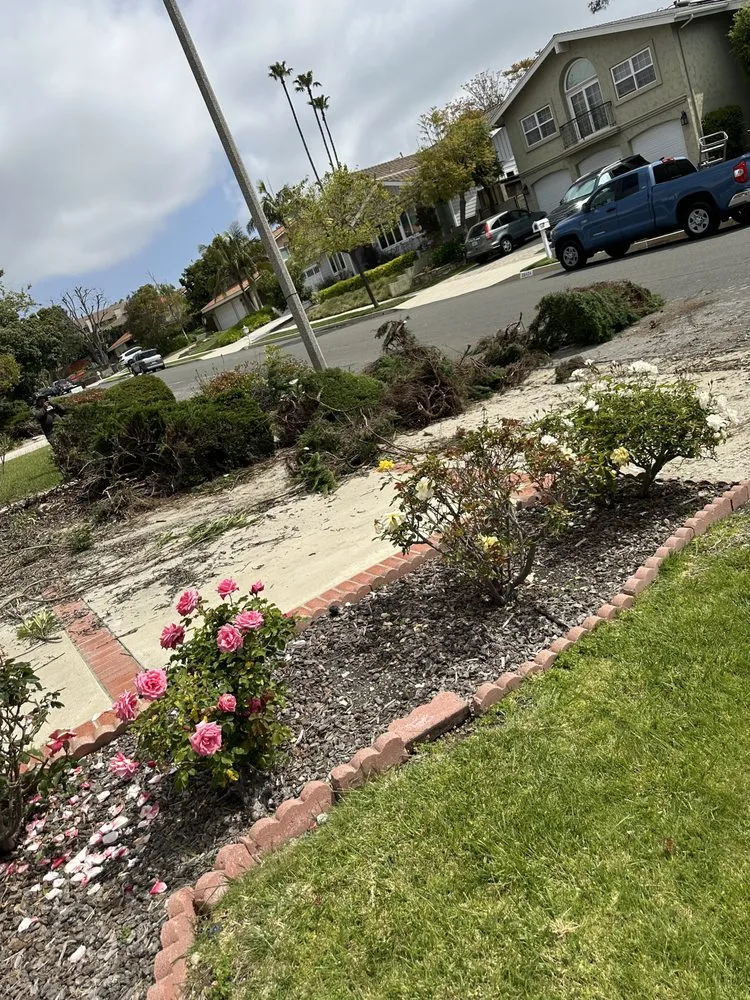 Trusted landscape design experts serving East Rancho Dominguez, CA - AS Landscaping