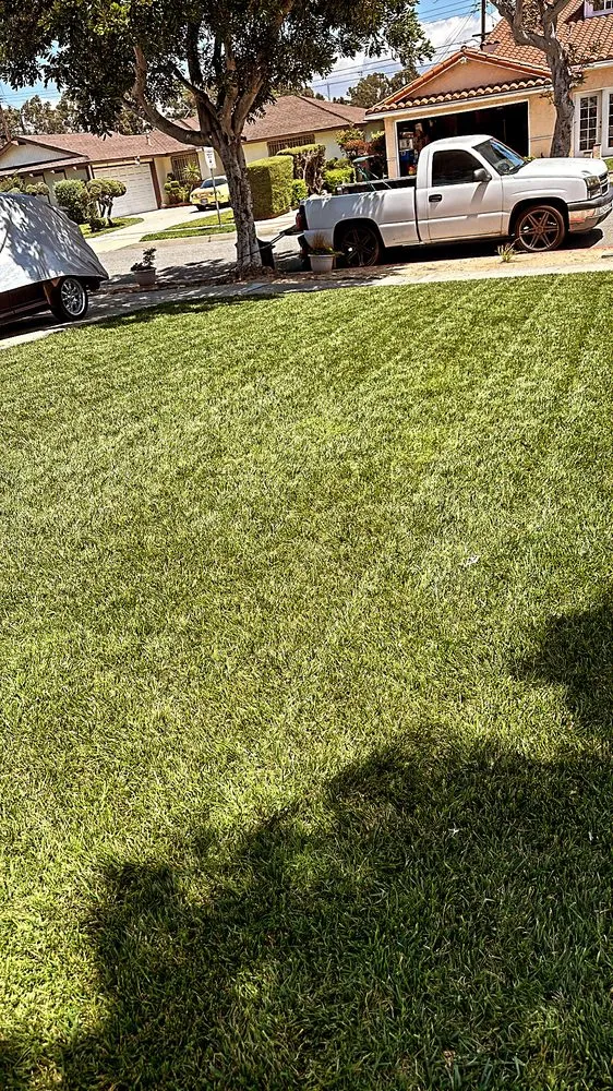 Reliable residential landscaping for outdoor upgrades across East Rancho Dominguez, CA - AS Landscaping