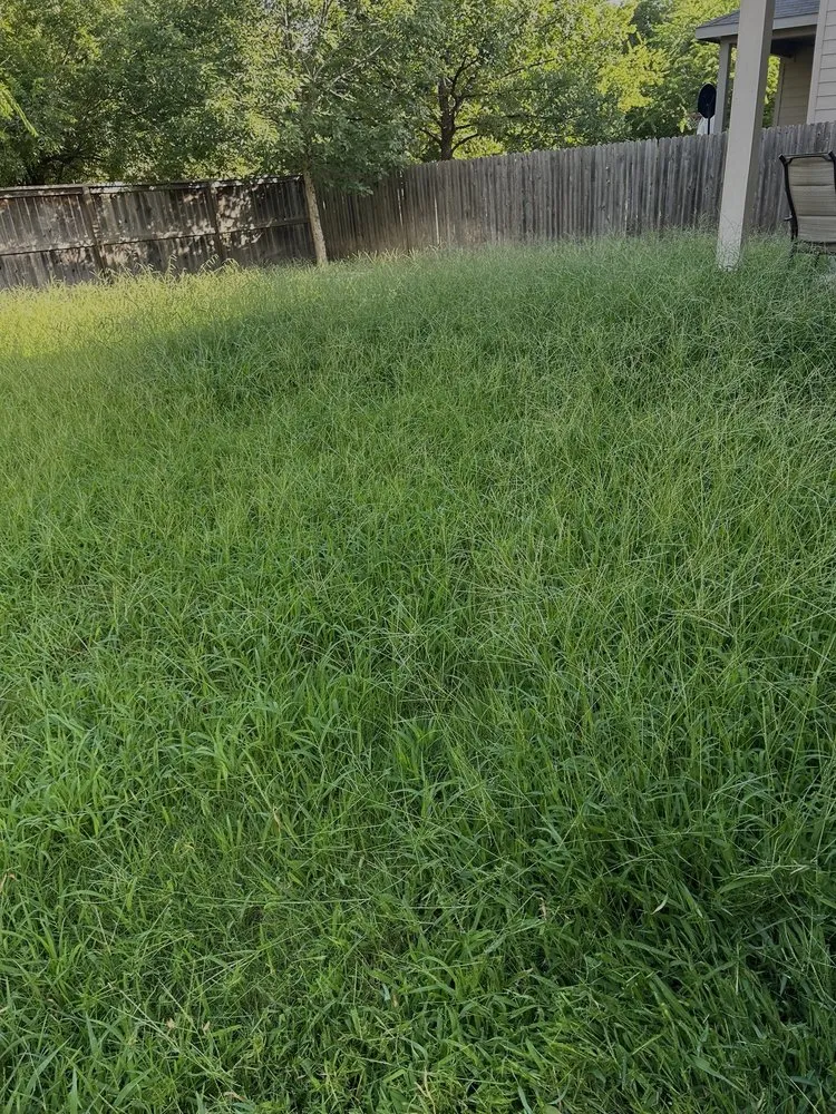 Expert landscape design in Lockhart, TX by A&S Landscaping