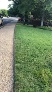 Professional yard cleanup service in Lockhart, TX - A&S Landscaping