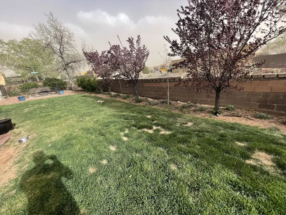 Trusted landscape design for outdoor upgrades across Santa Fe, NM - A’S Landscaping
