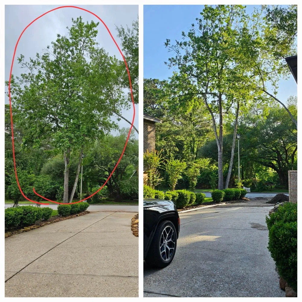 Local outdoor landscaping for residential properties in Conroe, TX by A&S Landscaping Solutions