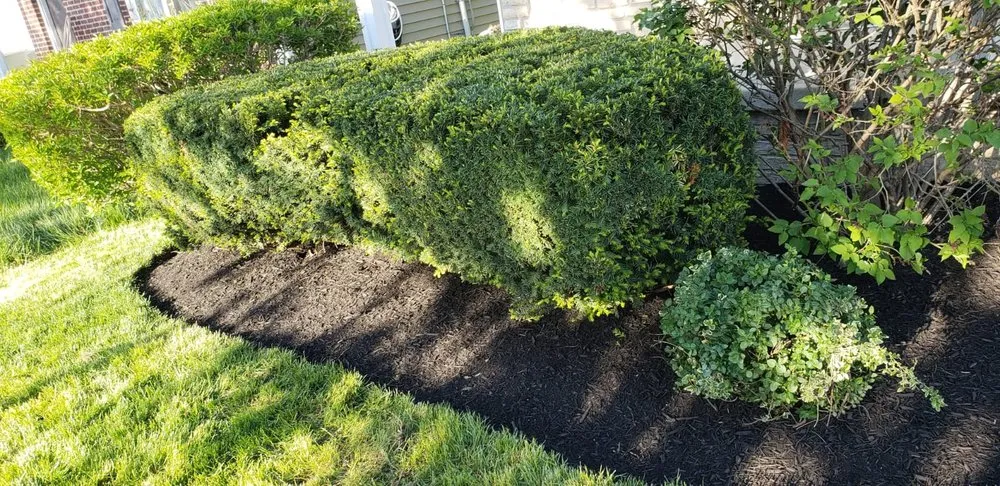 Reliable landscape installation with custom design across Columbus, OH - As Lawn Care