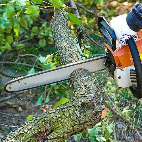 Top-rated garden landscaping experts serving Sioux Falls, SD - A&S Lawn Care