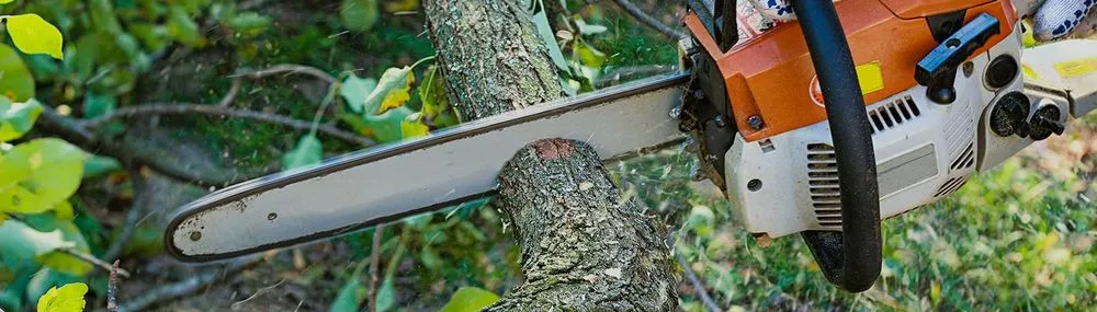 Top-rated yard cleanup service for beautiful yards in Sioux Falls, SD by A&S Lawn Care