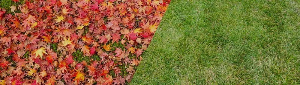 Reliable residential landscaping in Sioux Falls, SD by A&S Lawn Care