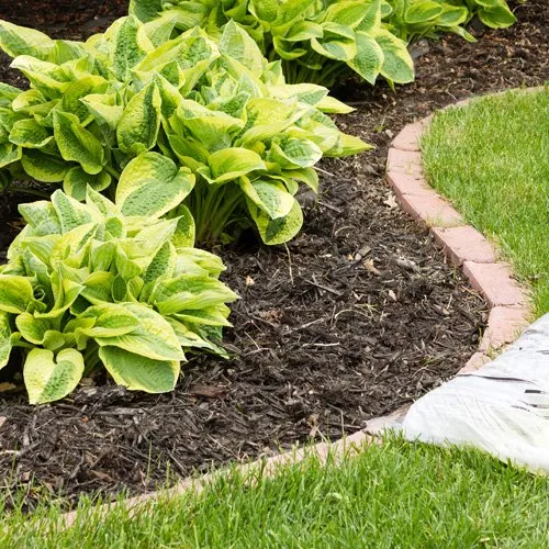 Trusted landscape design for homes across Sioux Falls, SD - A&S Lawn Care