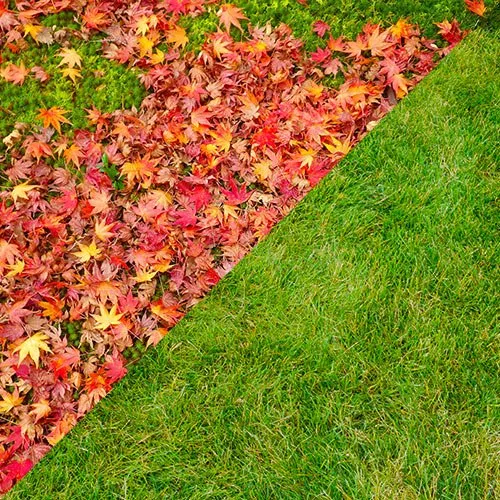 Trusted yard maintenance experts serving Sioux Falls, SD - A&S Lawn Care