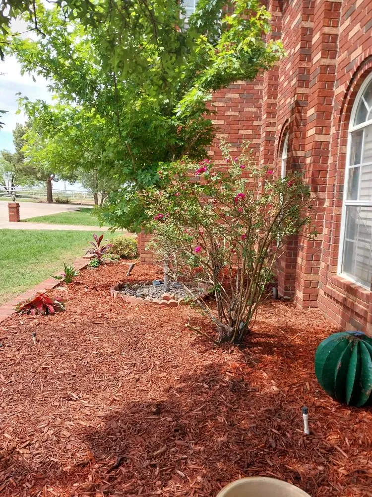Affordable landscaping services near you in Snyder, TX by A's Lawn Services