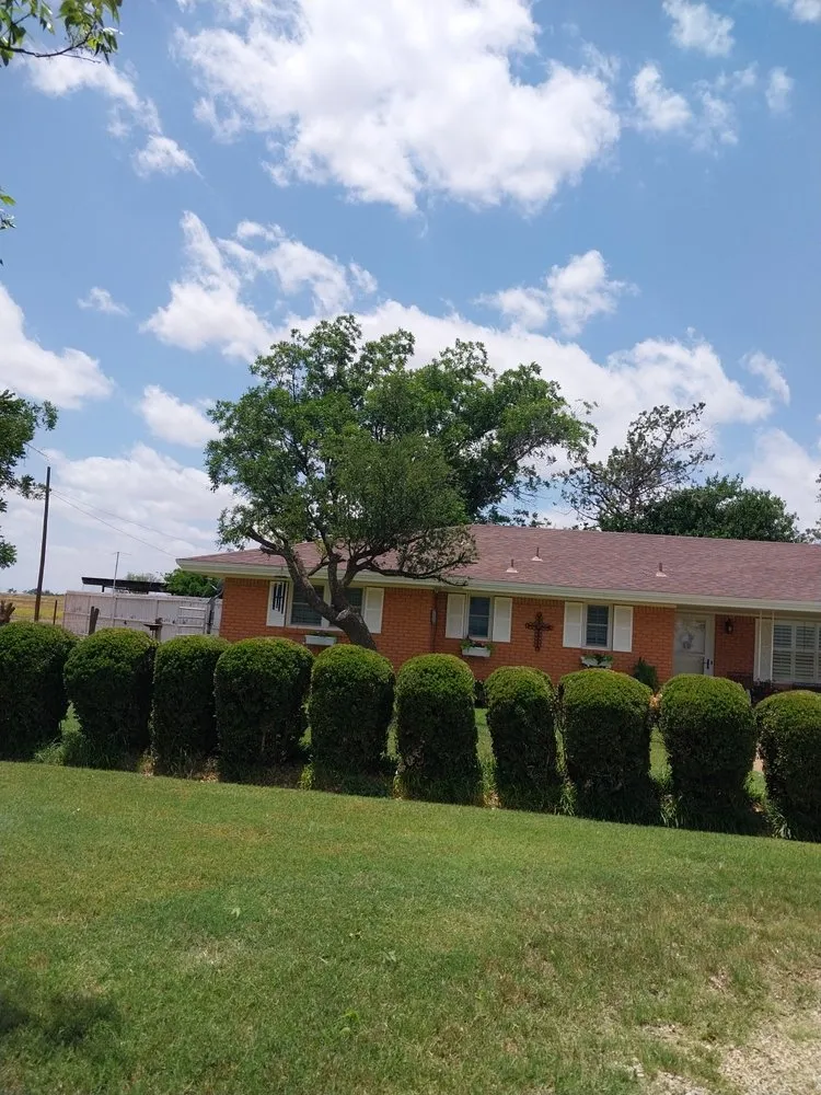 Professional landscaping services experts serving Snyder, TX - A's Lawn Services