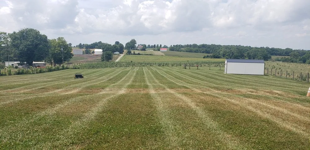 Top-rated outdoor landscaping experts serving Georgetown, OH - A&S Lawncare and Property Maintenance