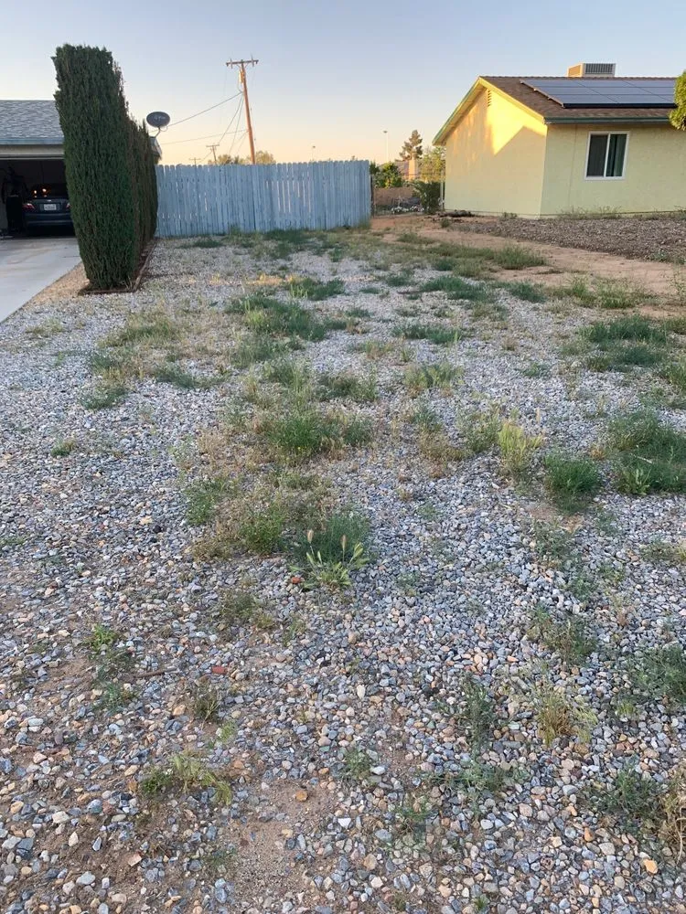 Affordable landscape design in Hesperia, CA by A's MC Landscaping and Clean Ups