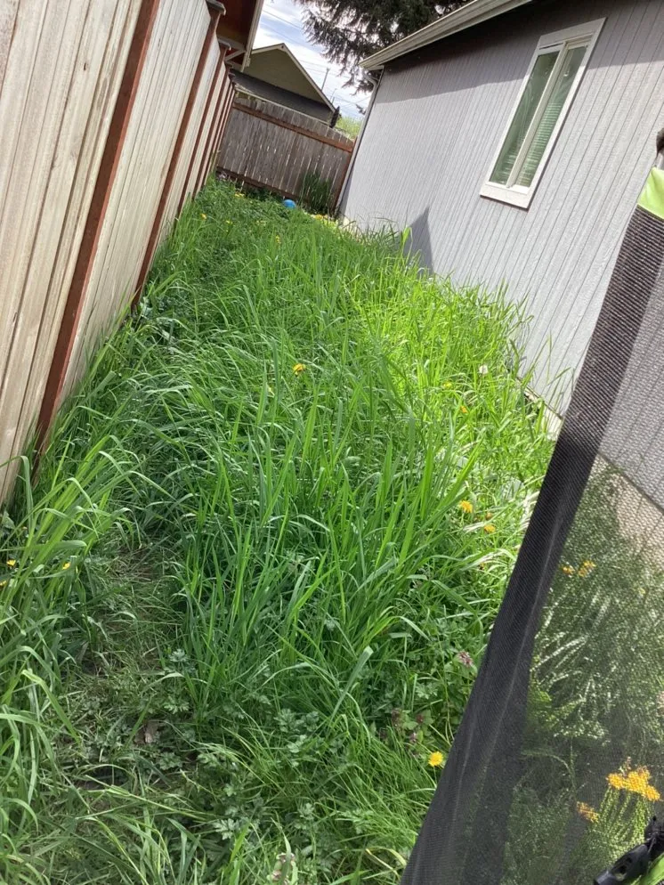 Top-rated landscaping services for beautiful yards across Centralia, WA - A's Mowing