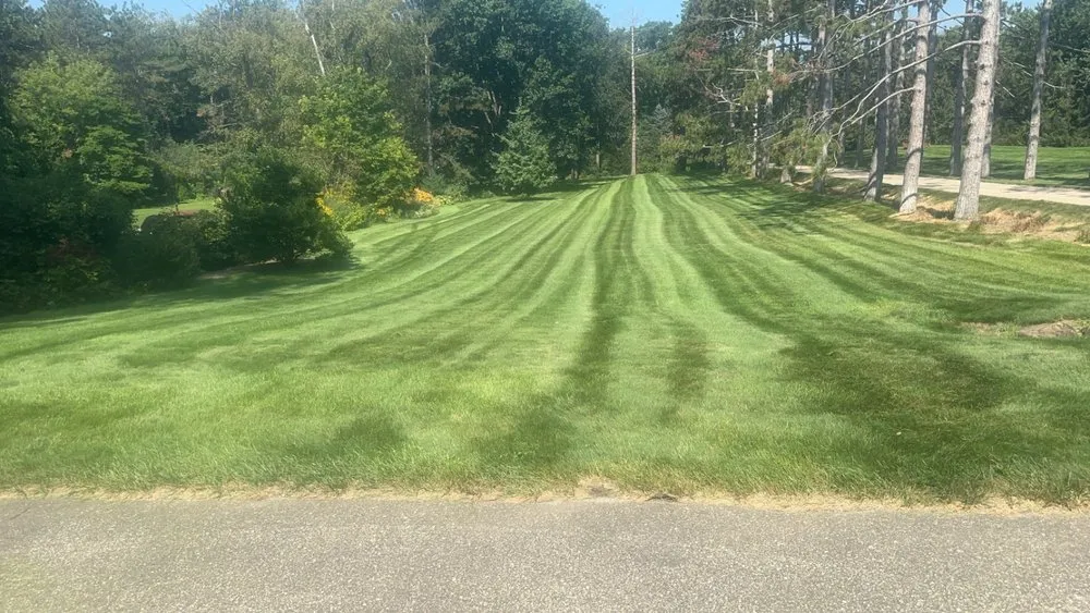 Trusted yard cleanup service experts serving Waterloo, WI - AS Mowing Maintenance and Landscaping