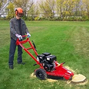 Reliable landscaping services experts serving Green Bay, WI - As Needed Lawn Care Services