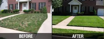 Local residential landscaping in Green Bay, WI by As Needed Lawn Care Services