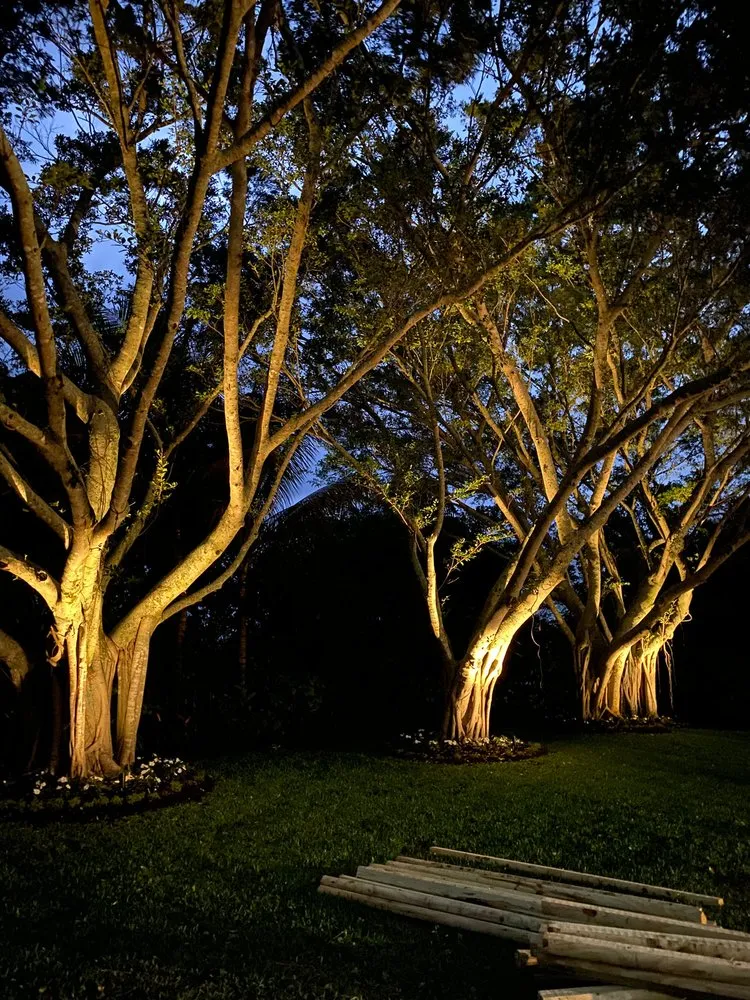 Professional yard maintenance experts serving Thompson's Station, TN - A&S Outdoors