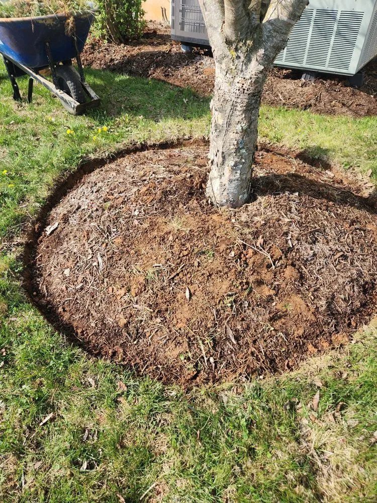 Affordable lawn mowing service experts serving Staunton, VA - A&S Painting and Landscaping