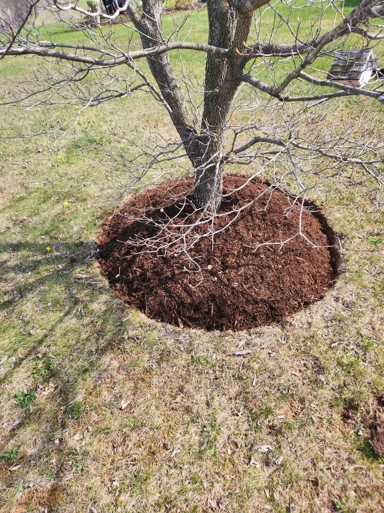 Top-rated landscape design in Staunton, VA by A&S Painting and Landscaping