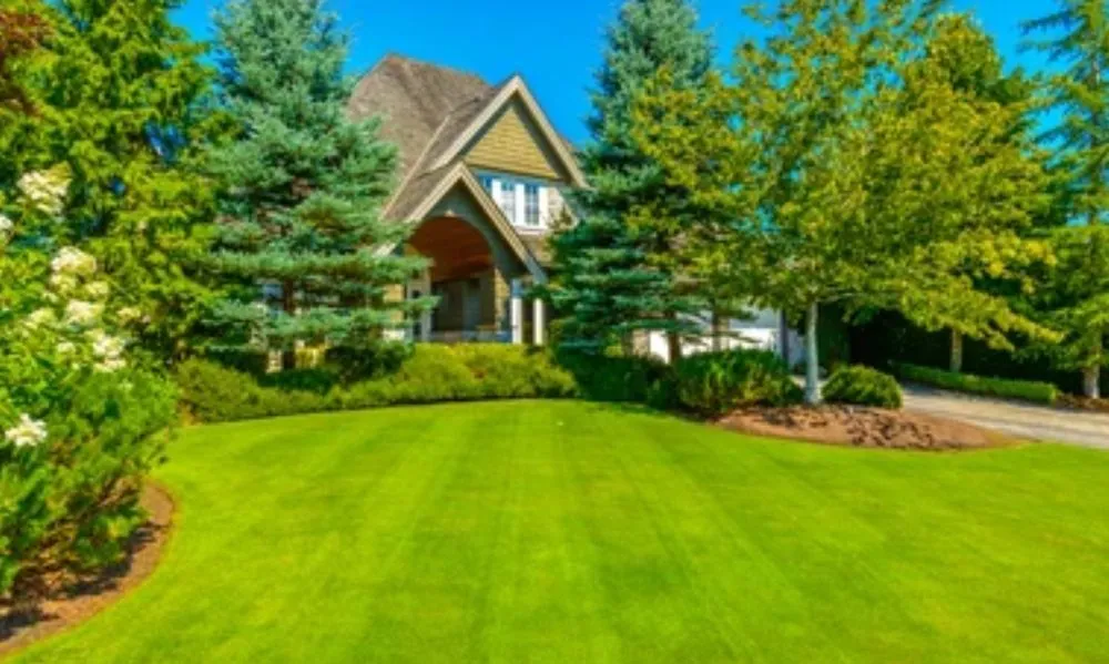 Professional lawn mowing service in Pleasant Grove, UT - A’s Services