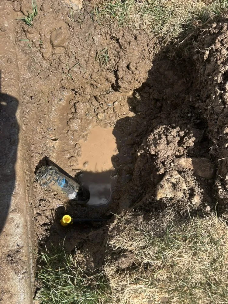 Reliable landscaping services for beautiful yards in Pleasant Grove, UT by A’s Services