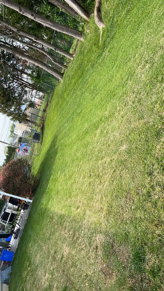 Professional yard maintenance in Yardley, PA by A’s Services