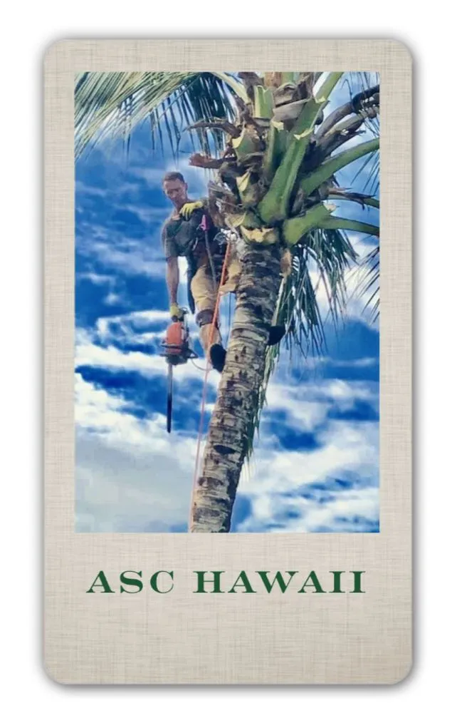 Reliable yard maintenance for residential properties across Kailua, HI - AS Solutions