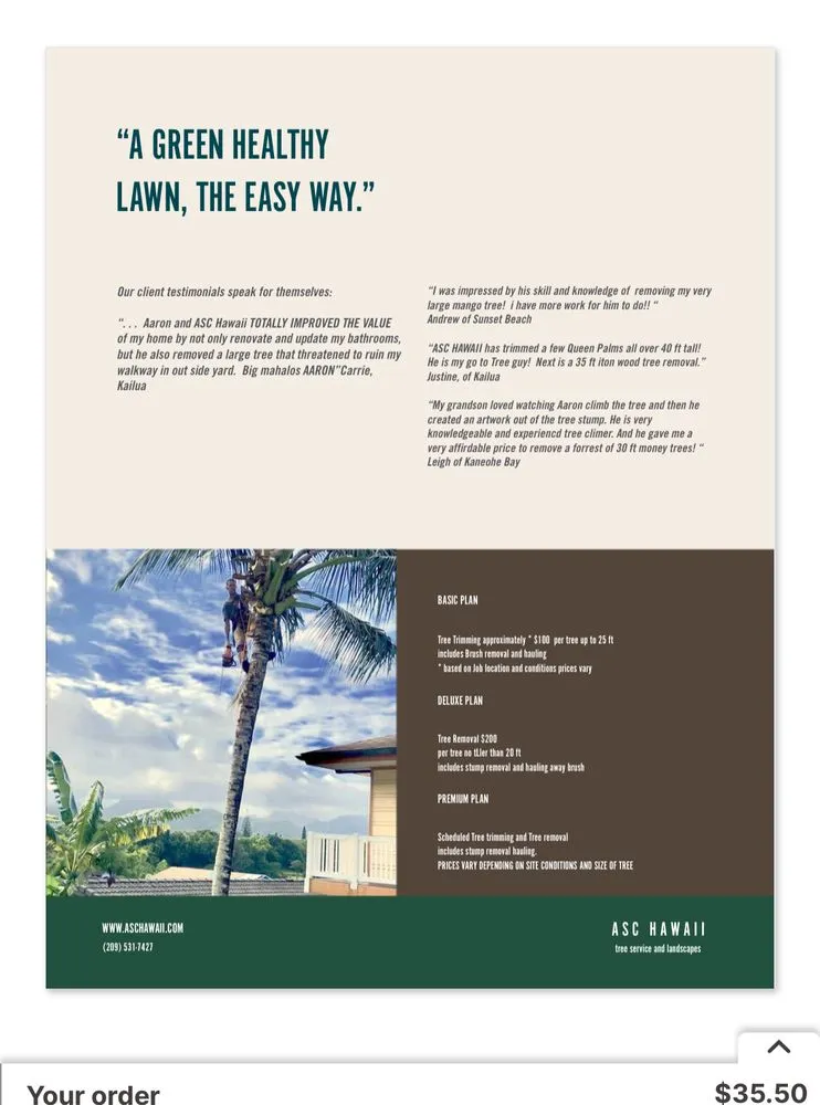 Affordable landscaping services for beautiful yards in Kailua, HI by AS Solutions