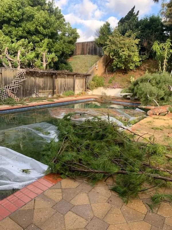 Affordable landscape installation for outdoor upgrades in Placentia, CA by A's Tree Service