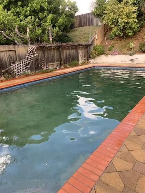 Top-rated landscape installation experts serving Placentia, CA - A's Tree Service