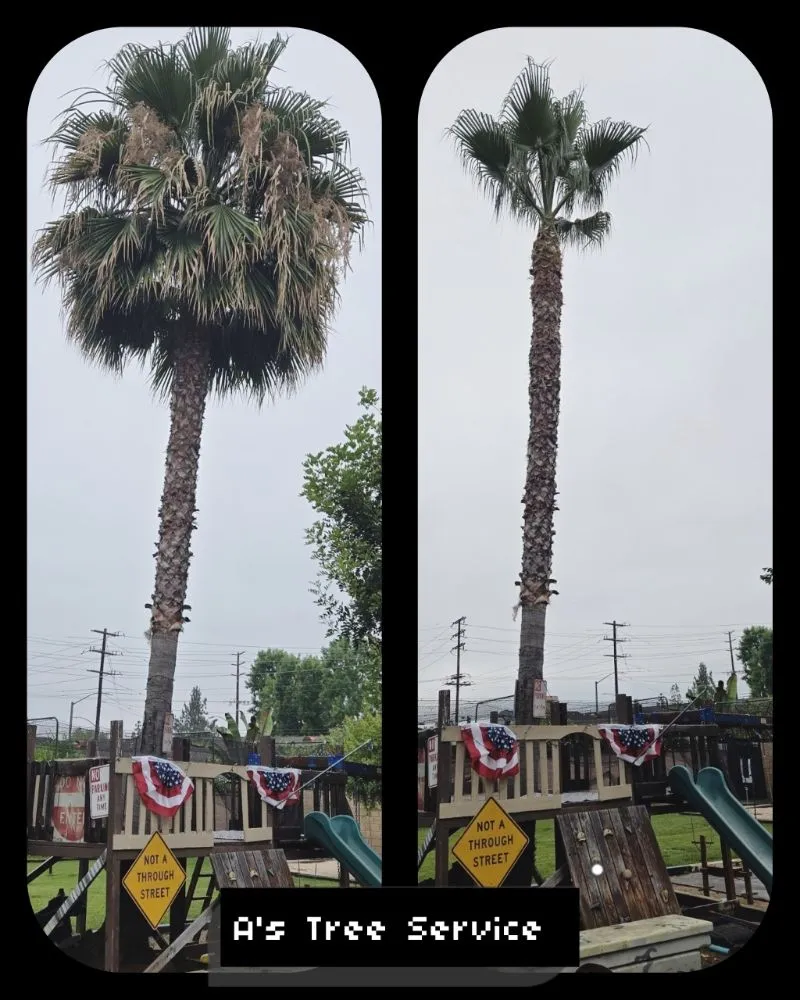 Reliable lawn mowing service experts serving Placentia, CA - A's Tree Service