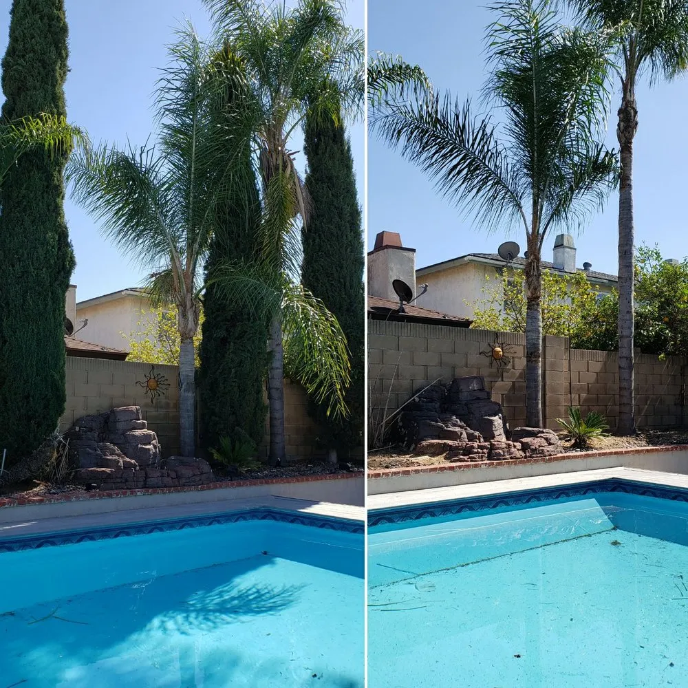 Custom lawn mowing service for beautiful yards across Placentia, CA - A's Tree Service